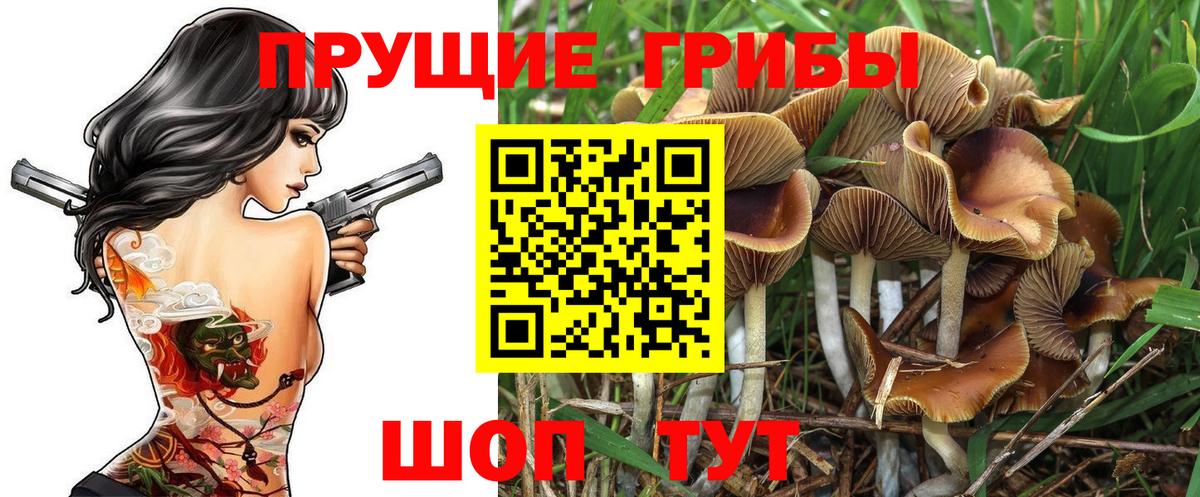 Псилоцибиновые грибы MAGIC MUSHROOMS Сергиев Посад